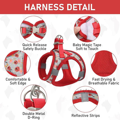 Adjustable Small Pet Harness Collar Leash Set