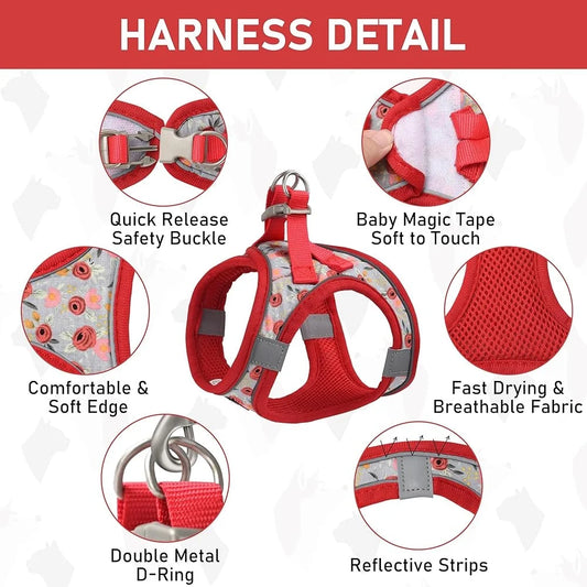 Adjustable Small Pet Harness Collar Leash Set