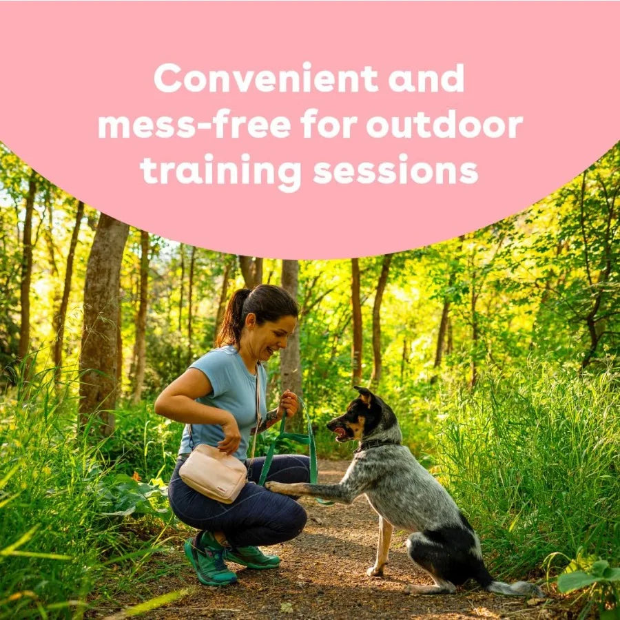 Soft and Chewy Training Treats for Dogs and Puppies