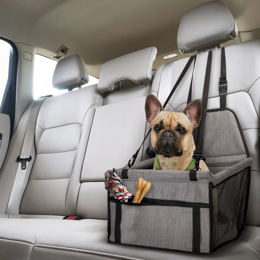 Collapsible Pet Seat Cushioned Interior Adjustable Straps
