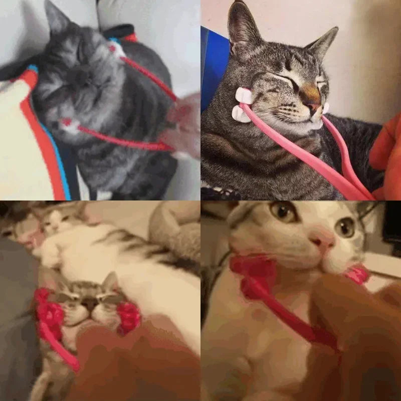 Multifunction Cat Face Massager  Interactive Massage Feet Leg