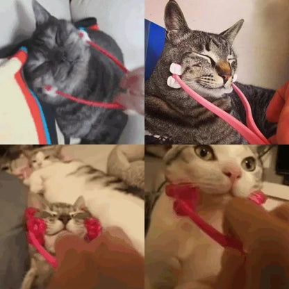 Multifunction Cat Face Massager  Interactive Massage Feet Leg