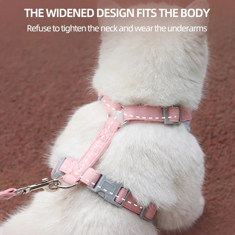 Cat Puppy Outdoor Harness and Leash Set