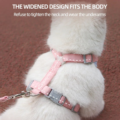 Cat Puppy Outdoor Harness and Leash Set