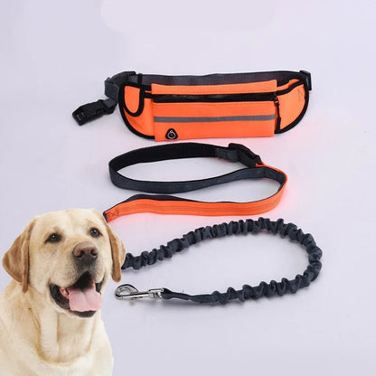 Hands Free Leash Reflective Waist Bag Retractable