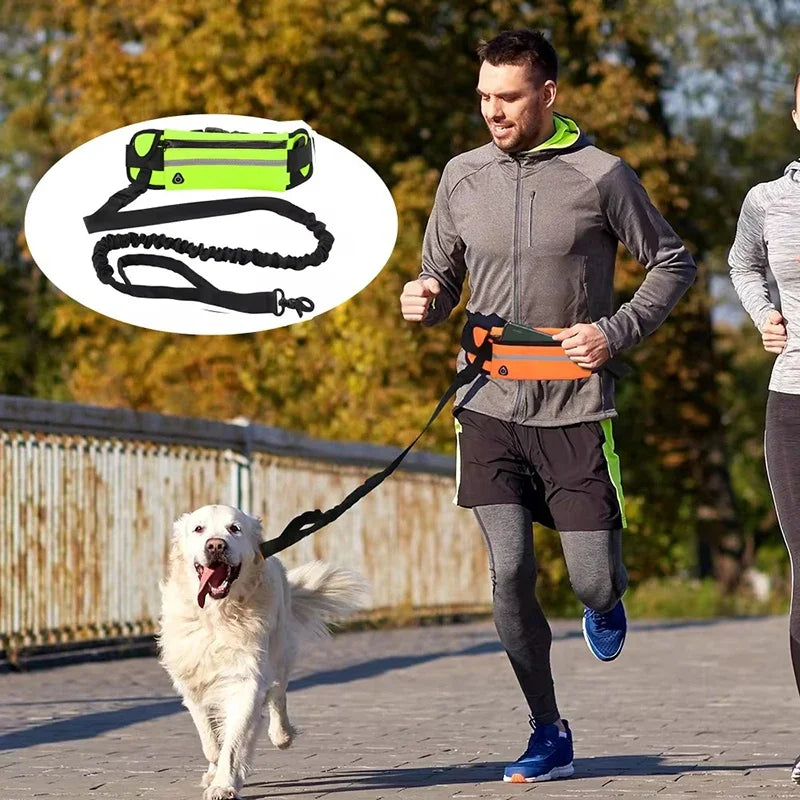 Hands Free Leash Reflective Waist Bag Retractable