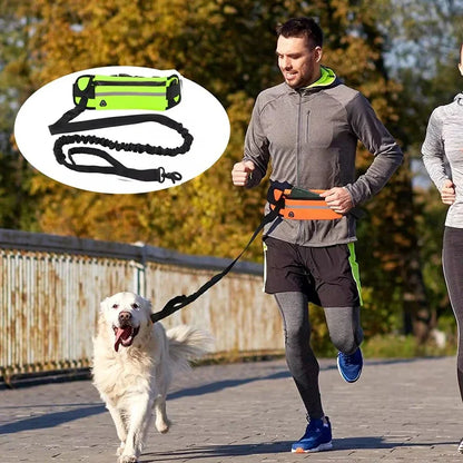 Hands Free Leash Reflective Waist Bag Retractable