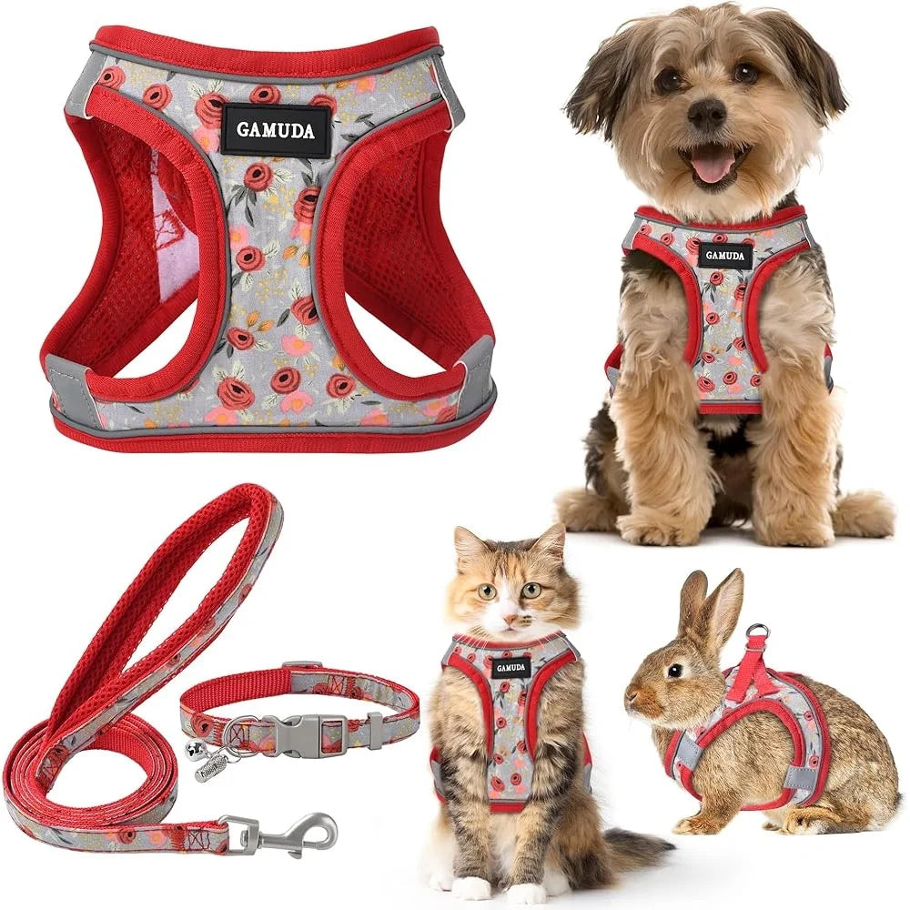 Adjustable Small Pet Harness Collar Leash Set