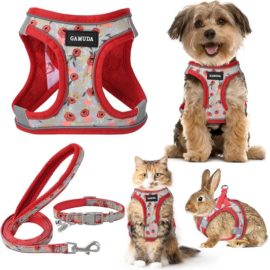 Adjustable Small Pet Harness Collar Leash Set