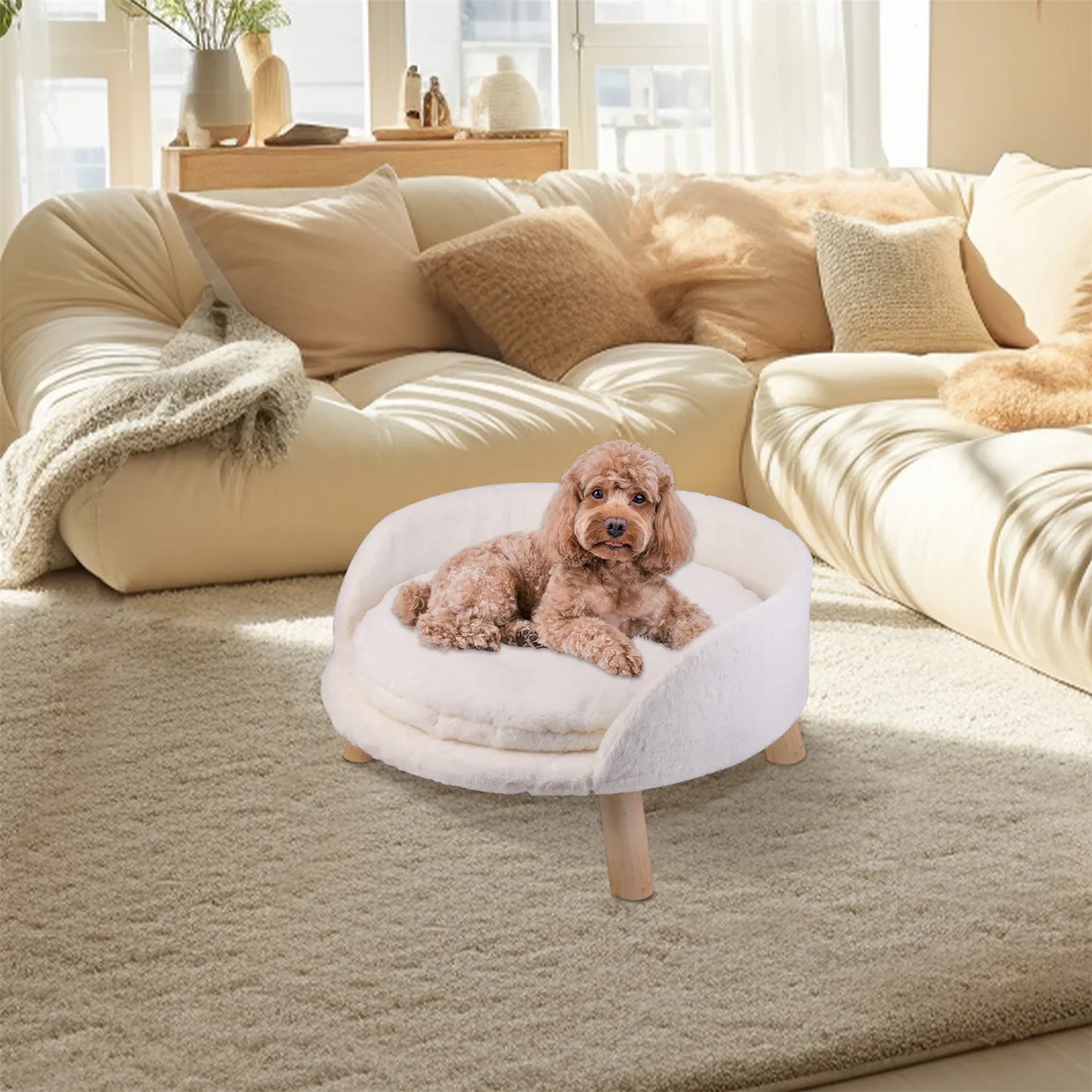 Pet Sofa Bed Raised Bed Removable Cushion