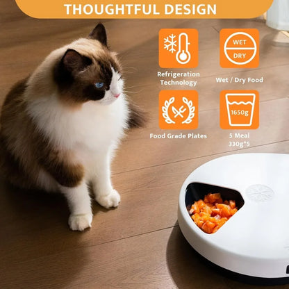 Cat Wet Food Automatic Feeder with Timer