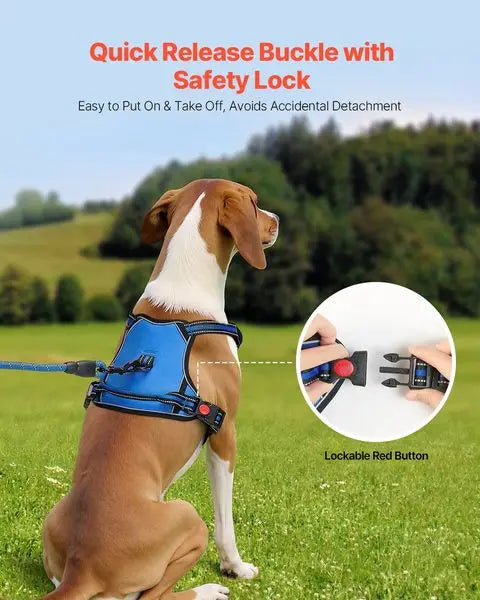 Adjustable Dog Vest Pet Harness with Leash