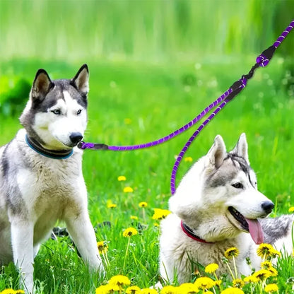 Dual Dog Leash - 360 Swivel No Tangle