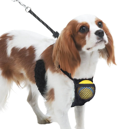 Non-Pulling Dog Harness with Built-in Storage Pouch