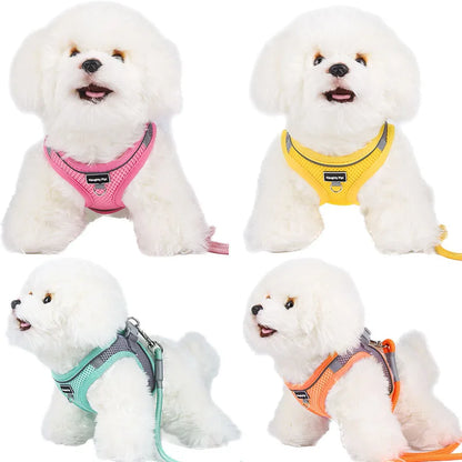 Dog Harness Adjustable With Leash
