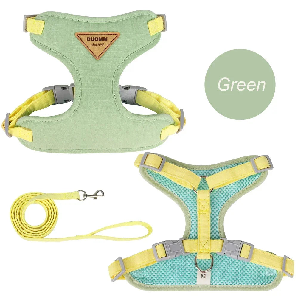 Cat Puppy Outdoor Harness and Leash Set