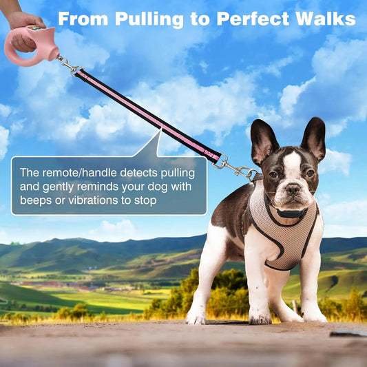No-Pull Dog Training Collar with Remote