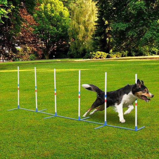 Dog Weave Pole Set, Agility Starter Kit
