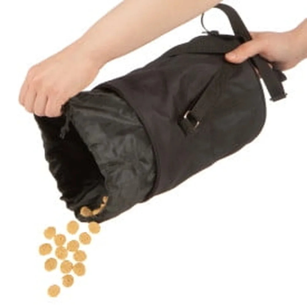 Portable Pet Food Storage Bag with Adjustable Strap