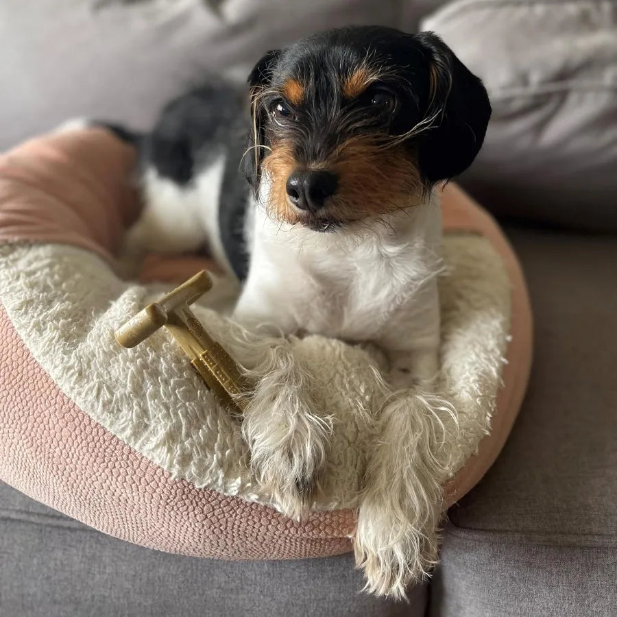 T Bone Durable Nylon Dog Chew