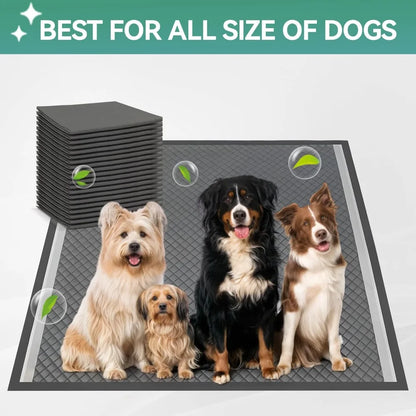 Pee Pad Holder, XL Dog Litter Box
