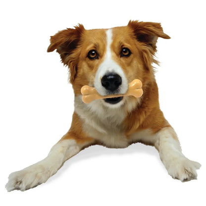 Nylon Dog Chew Toy Bone Peanut Butter Flavor