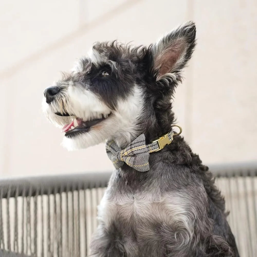 Dog Harness Set Adjustable Plaid Collar Leash Bowtie