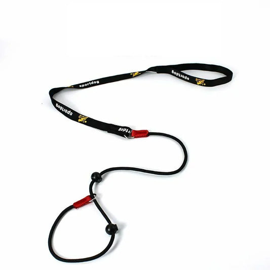 Training P-Shaped Chain Slip Lead Control Leash