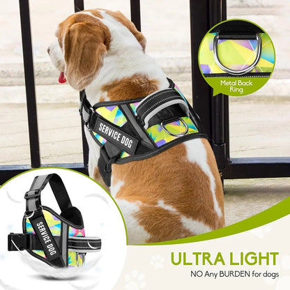 Service Dog Harness Leash 10 Patches