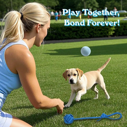 20 Pack Puppy Chew Toys for Small Breeds