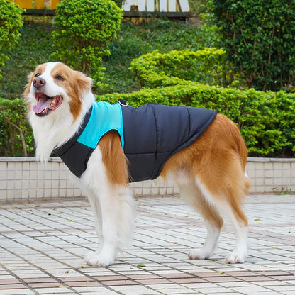 Pet Autumn/Winter Cotton Vest Dog Cat
