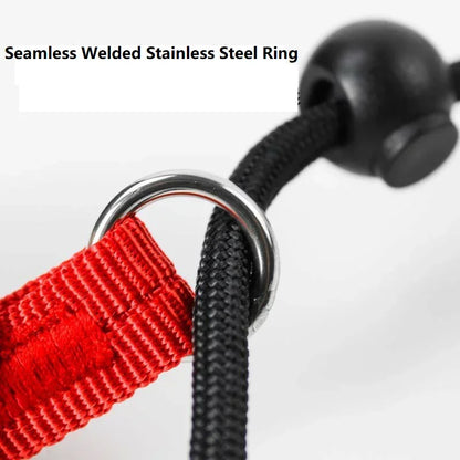Training P-Shaped Chain Slip Lead Control Leash