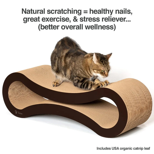 Cat Scratcher Lounge Bed Durable  Interactive Design