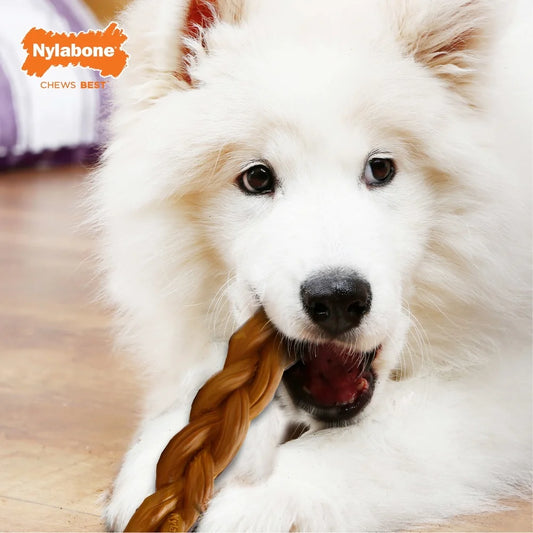 Nylon Dog Chew Alternative Safe Odor Free