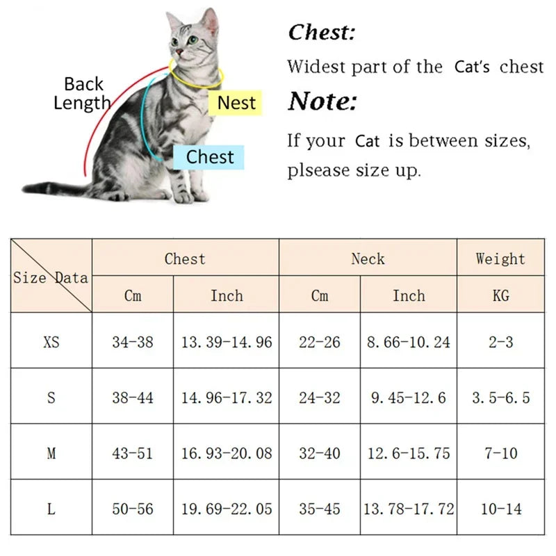 Cat Puppy Outdoor Harness and Leash Set