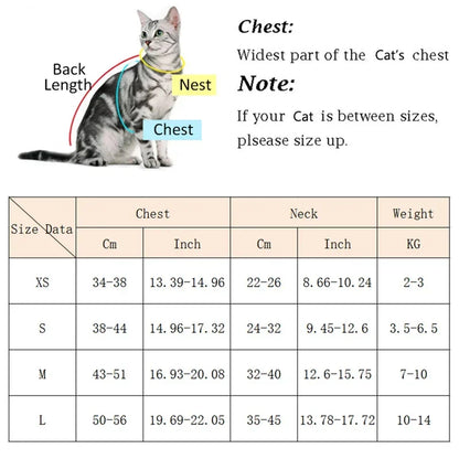 Cat Puppy Outdoor Harness and Leash Set