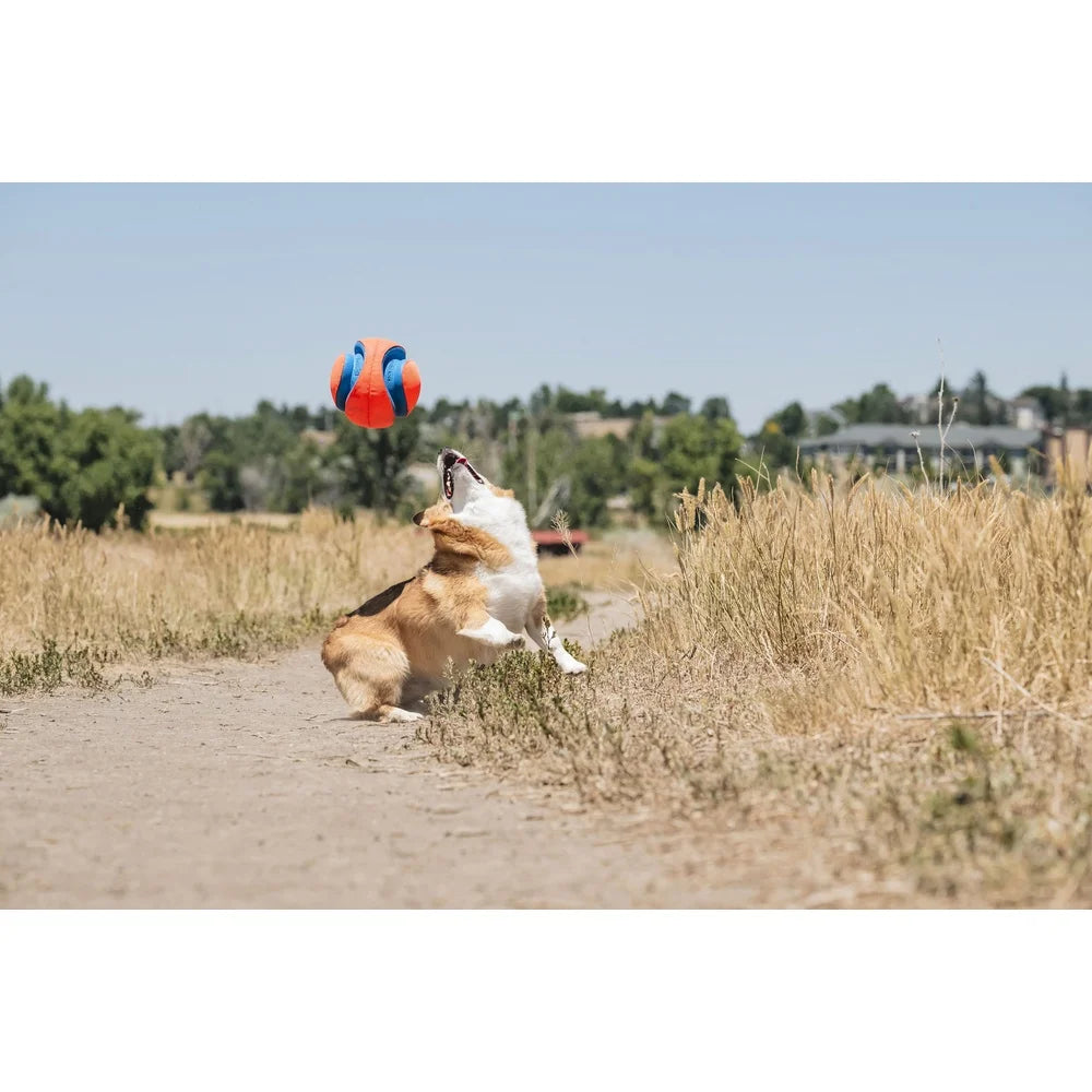 Interactive Fetch Rubber Ball Durable Canvas Lightweight
