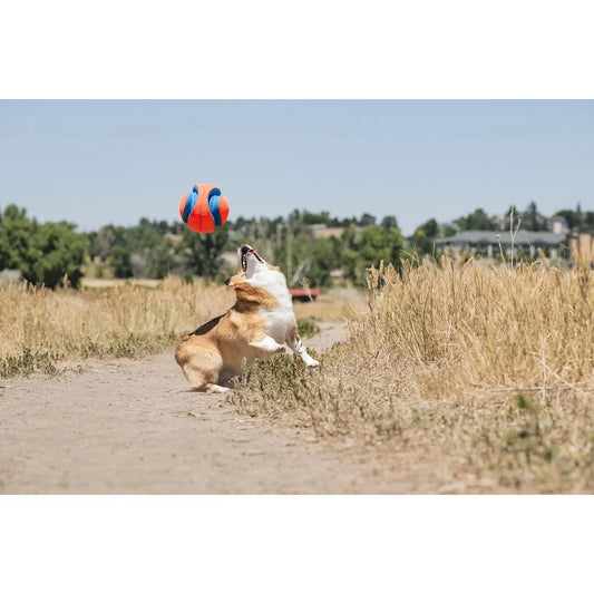 Interactive Fetch Rubber Ball Durable Canvas Lightweight