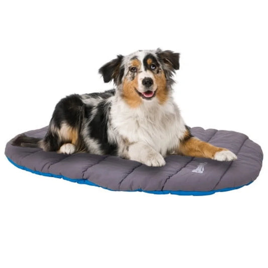 Travel Pet Bed Water Resistant Lightweight Dog Bed