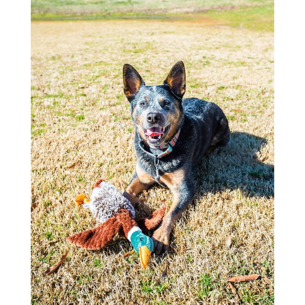 Duck Toy with Squeaker Chewable Interactive Play