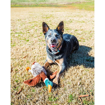 Duck Toy with Squeaker Chewable Interactive Play