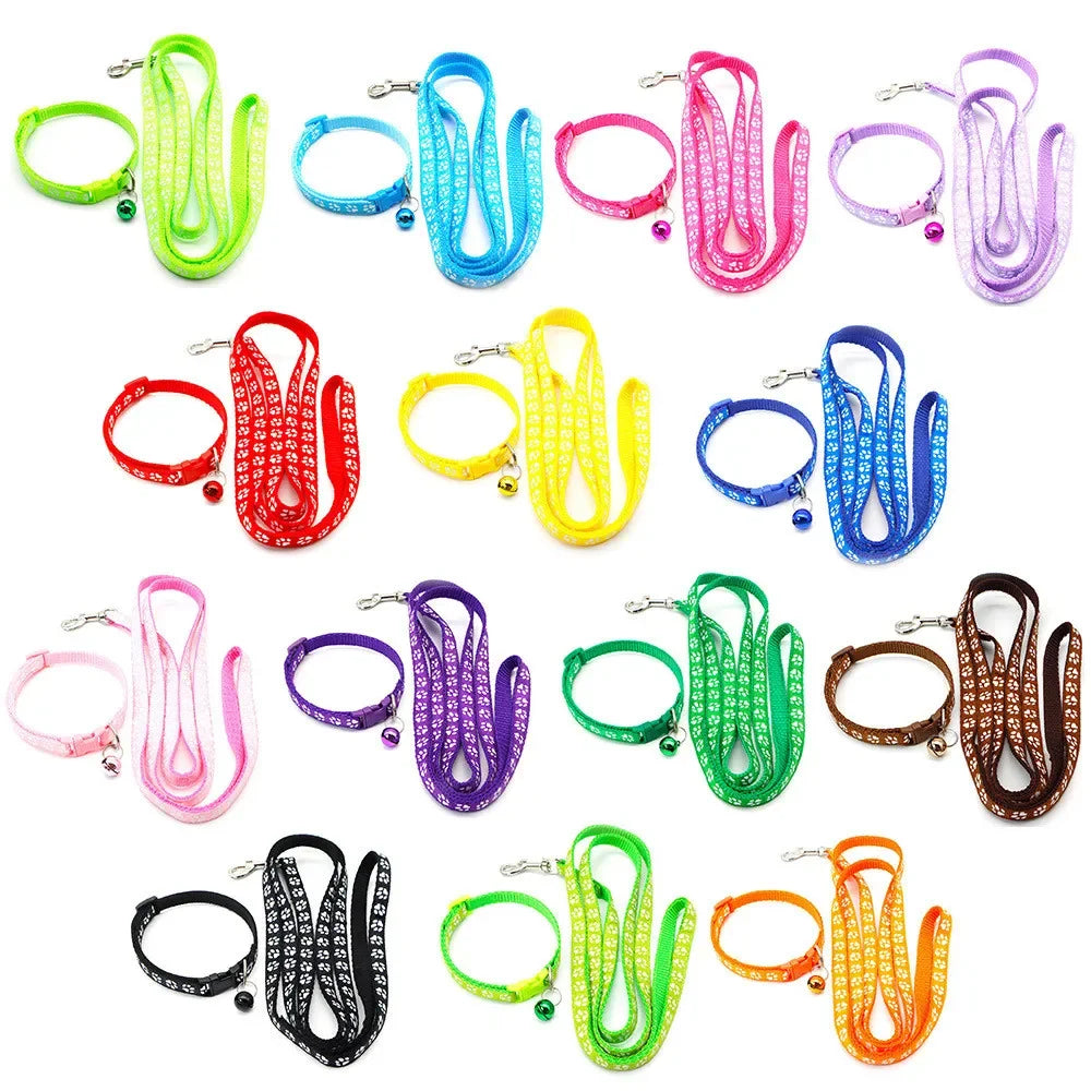 Leash Adjustable Collar Printed