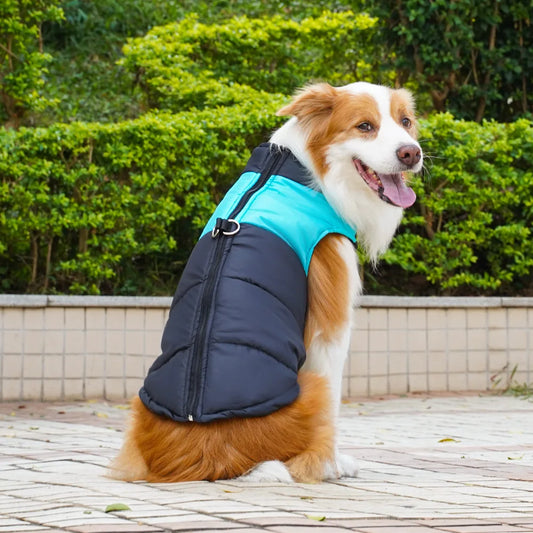 Pet Autumn/Winter Cotton Vest Dog Cat