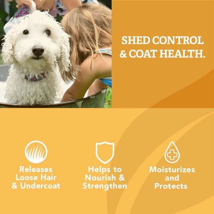 Dog Shampoo Reduces Shedding Biodegradable Safe