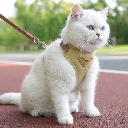 Cat Puppy Outdoor Harness and Leash Set
