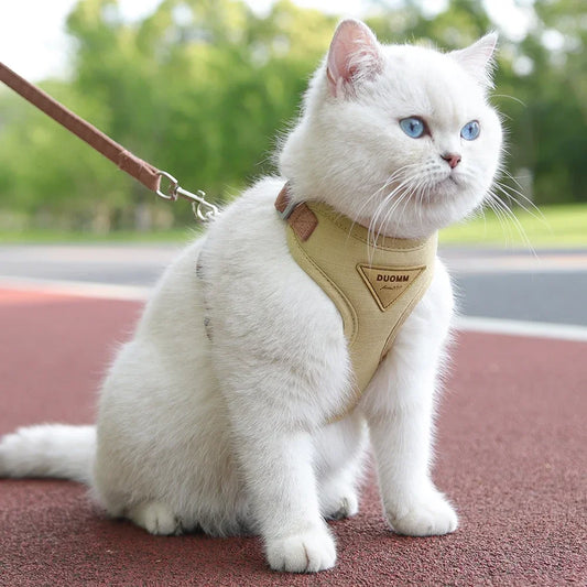 Cat Puppy Outdoor Harness and Leash Set