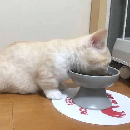 Cat Food Bowl Anti Vomiting, Elevated Ceramic