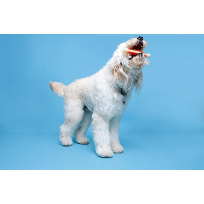 Bacon Scented Dental Hygiene Extra Large Bone