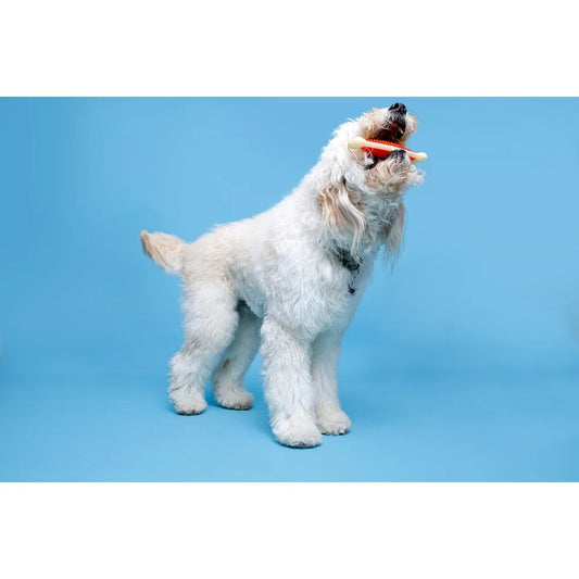 Bacon Scented Dental Hygiene Extra Large Bone