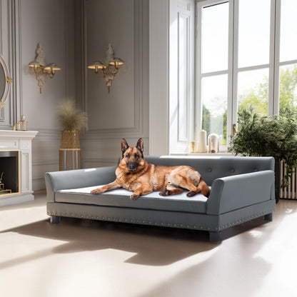 Durable Elevated Dog Sofa Bed, Comfortable Couch